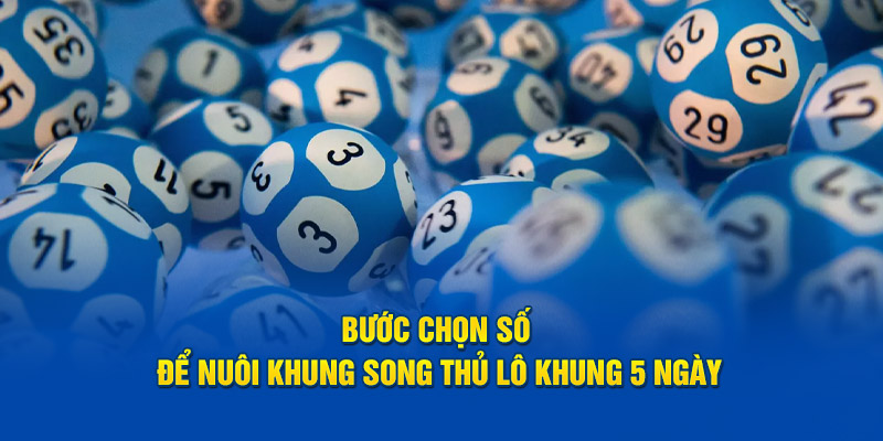 Bước chọn số để nuôi lô song thủ khung 5 ngày