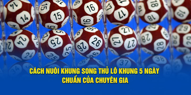 Nuôi lô song thủ khung 5 ngày