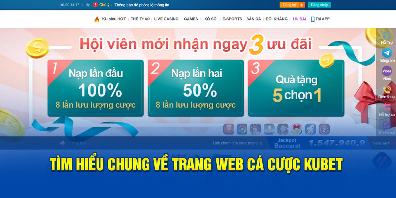 Tìm hiểu chung về trang web cá cược Kubet