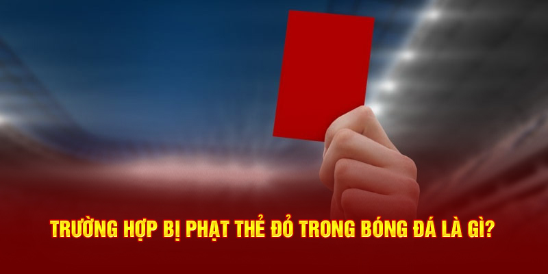 Trường hợp bị phạt thẻ đỏ trong bóng đá là gì? 